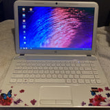 HP G4 Butterfly Blossom 14" AMD A6-4400M @ 2.7GHz (6GGB RAM, 128GB SSD) Windows 10 CD DVD AMD Radeon HD 7520G