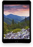 Apple iPad Mini 3 (16GB, 64GB, 128GB) 7.9in, Wi-Fi, Retina Touch ID Tablet - iOS 12 - Gray